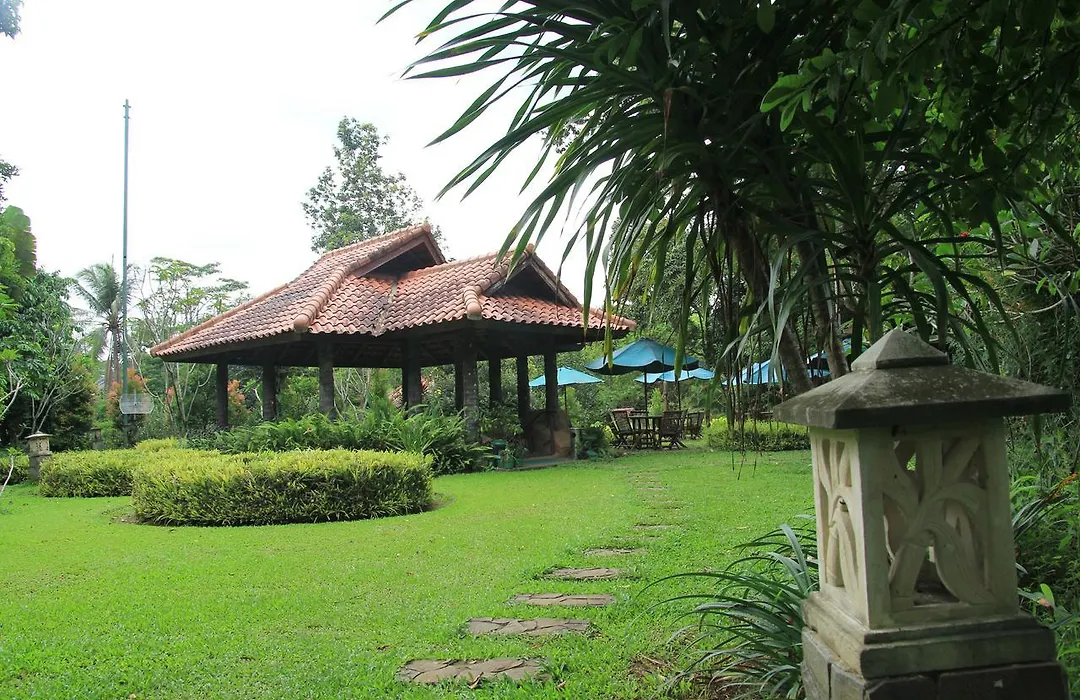 Cico Resort-1